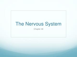 The Nervous System