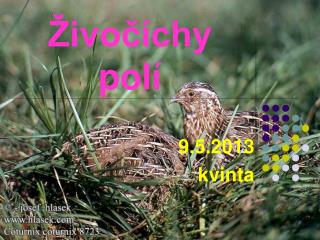 Živočíchy polí