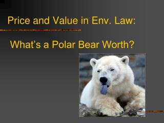 Price and Value in Env. Law: What’s a Polar Bear Worth?