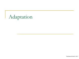 Adaptation