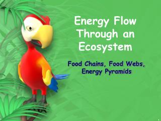 Energy Flow Through an Ecosystem