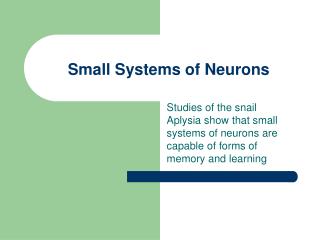 Small Systems of Neurons