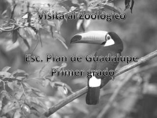 Visita al Zoológico Esc. Plan de Guadalupe Primer grado