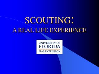 SCOUTING : A REAL LIFE EXPERIENCE