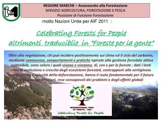 motto Nazioni Unite per AIF 2011 :