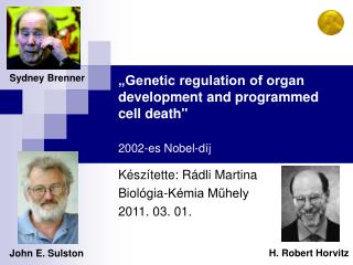 „Genetic regulation of organ development and programmed cell death&quot; 2002-es Nobel-díj