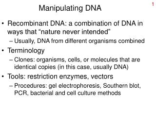 Manipulating DNA