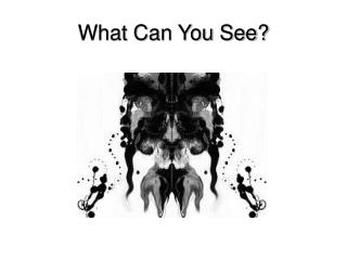 What Can You See?