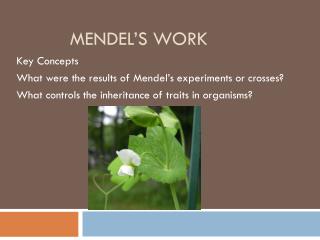 Mendel’s Work