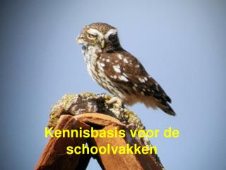 Kennisbasis voor de schoolvakken