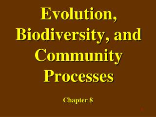 Evolution, Biodiversity, and Community Processes