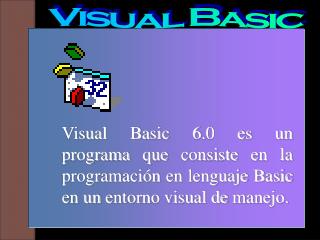 Visual Basic