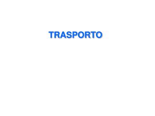 TRASPORTO