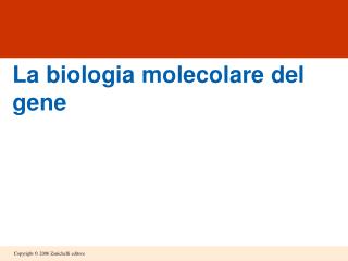 La biologia molecolare del gene