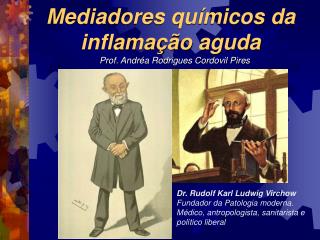 Mediadores químicos da inflamação aguda