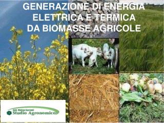 GENERAZIONE DI ENERGIA ELETTRICA E TERMICA DA BIOMASSE AGRICOLE