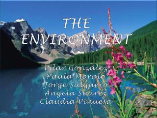 THE ENVIRONMENT Pilar González Paula Moralo Jorge Salguero Ángela Suárez Claudia Vinuesa