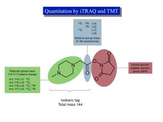 Isobaric tag Total mass 144