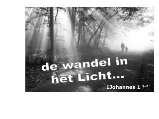 de wandel in het Licht...