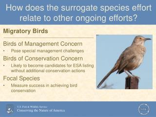 How does the surrogate species effort relate to other ongoing efforts?