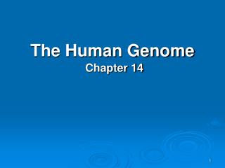 The Human Genome