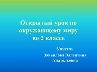 Открытый урок по окружающему миру во 2 классе