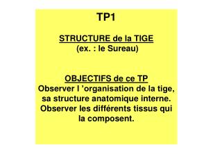 TP1 STRUCTURE de la TIGE (ex. : le Sureau) OBJECTIFS de ce TP