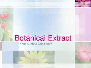 Botanical Extract