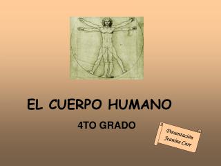 EL CUERPO HUMANO