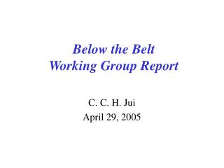 Below the Belt Working Group Report