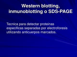 Western blotting, inmunoblotting o SDS-PAGE