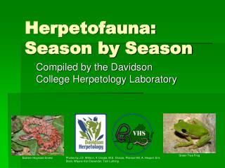Herpetofauna: Season by Season