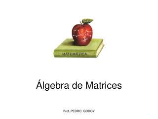 Álgebra de Matrices