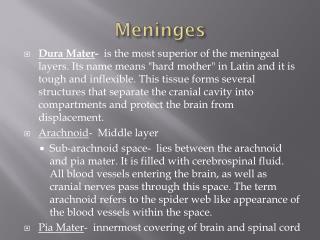 Meninges