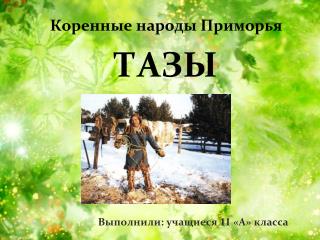 Коренные народы Приморья ТАЗЫ Выполнили: учащиеся 11 «А» класса