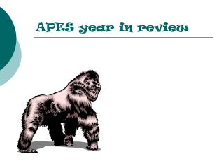 APES year in review