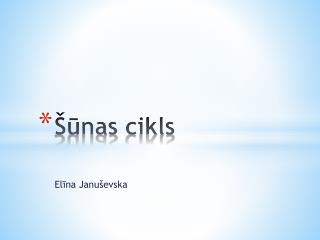 Šūnas cikls