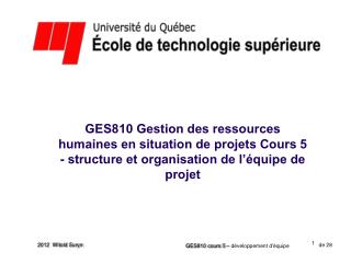 GES810 cours 5 – développement d'équipe