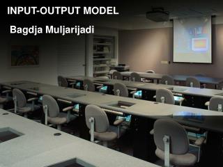 INPUT-OUTPUT MODEL