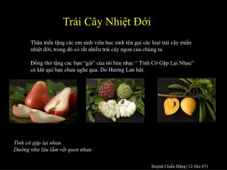 Trái Cây Nhiệt Đới