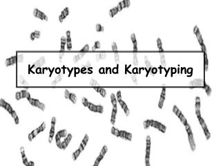 Karyotypes and Karyotyping