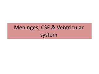 Meninges, CSF &amp; Ventricular system