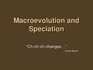 Macroevolution and Speciation