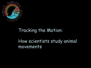 Tracking the Motion: How scientists study animal movements
