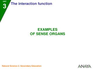 UNIT 3