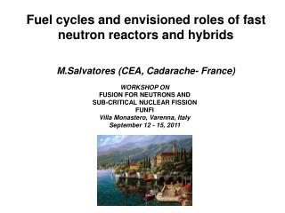 Fuel cycles and envisioned roles of fast neutron reactors and hybrids