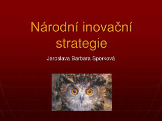 Národní inovační strategie
