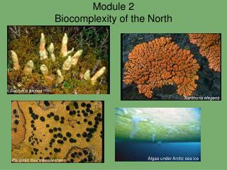 Module 2 Biocomplexity of the North