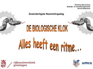 Alles heeft een ritme...