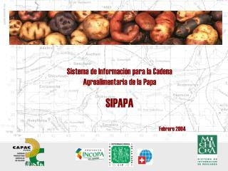 Sistema de Información para la Cadena Agroalimentaria de la Papa SIPAPA Febrero 2004